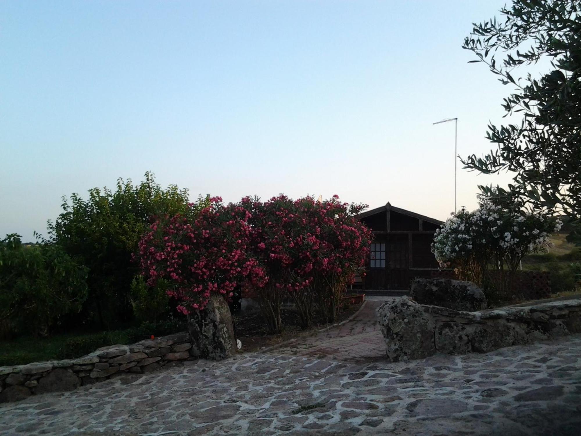 Agriturismo Su Recreu Ittiri Room photo