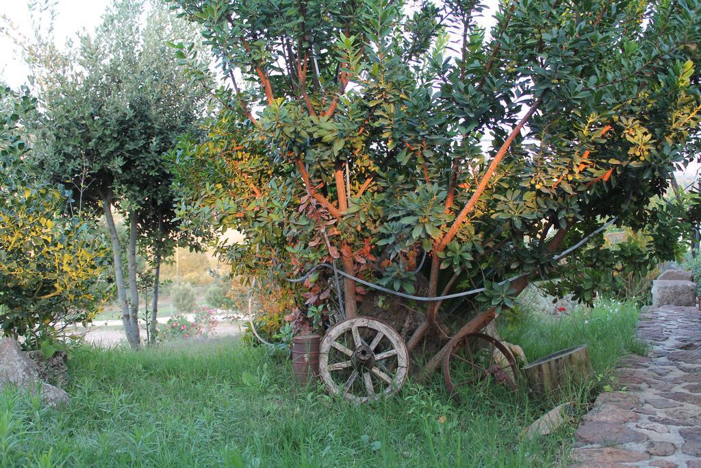 Agriturismo Su Recreu Ittiri Exterior photo