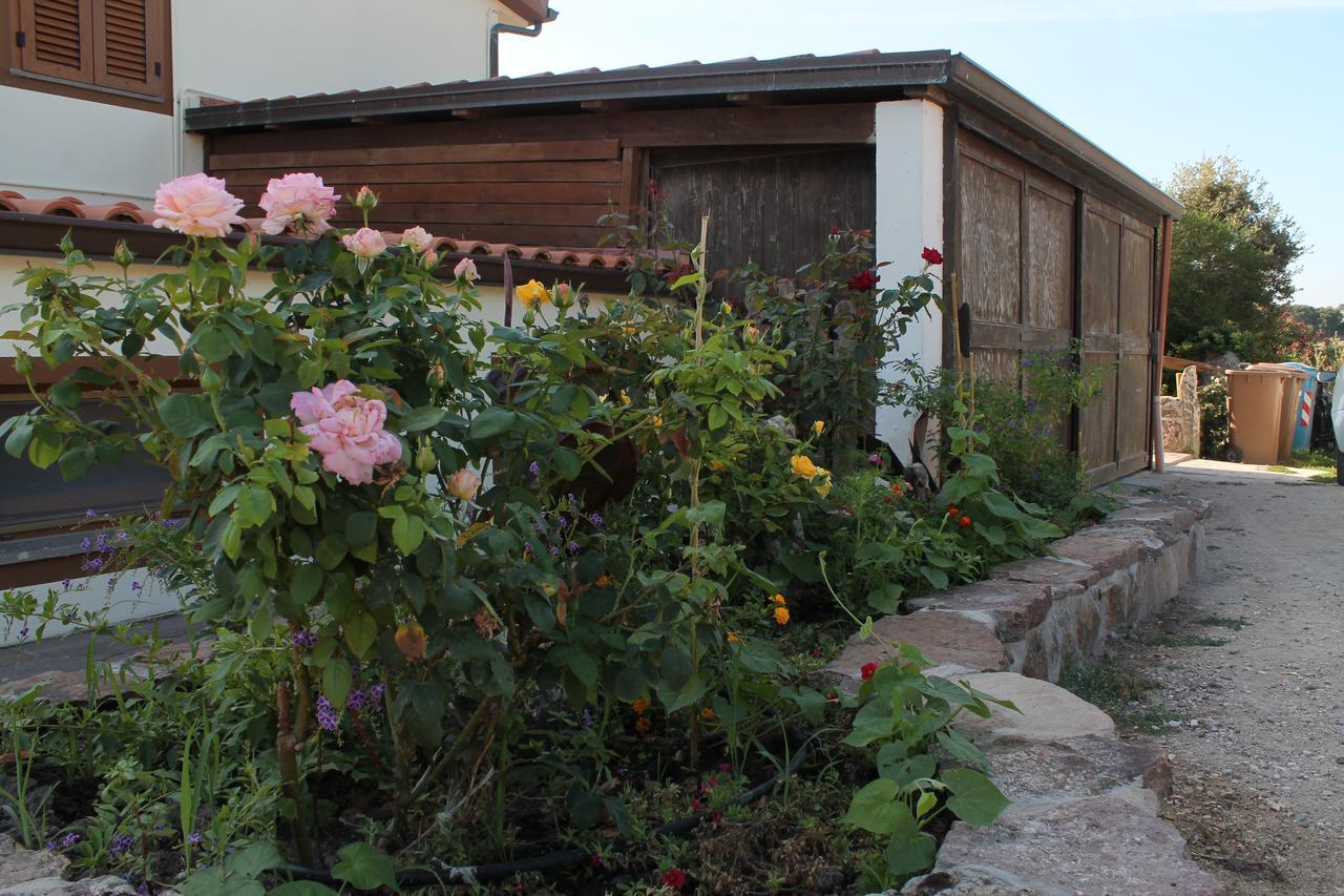 Agriturismo Su Recreu Ittiri Exterior photo
