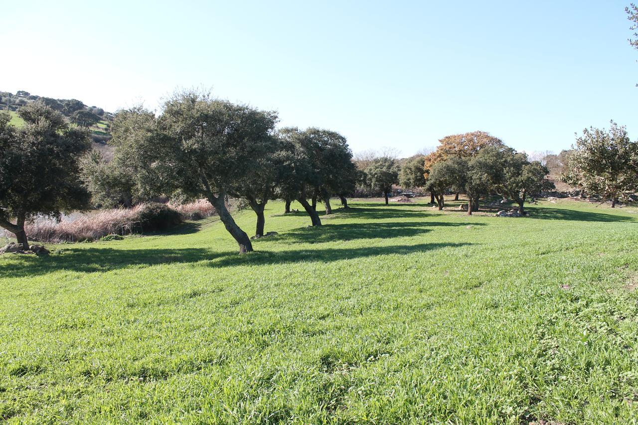 Agriturismo Su Recreu Ittiri Exterior photo